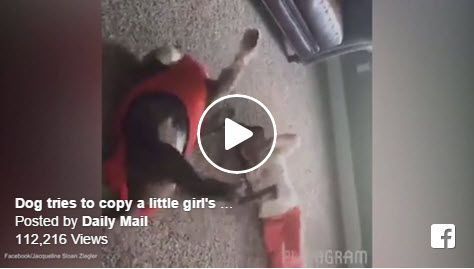 We Had To Share This Video