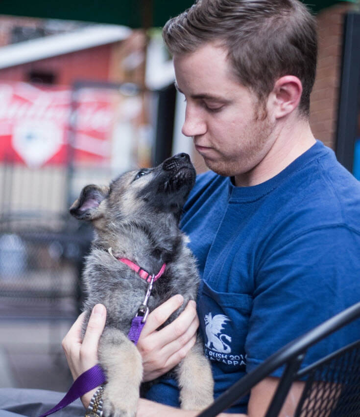 Emotional Support Animals becoming more common on campus