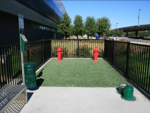 san jose airport pet relief area