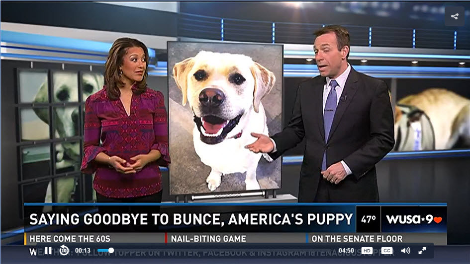 News Anchor Trains Service Dog for  Wounded Warriors