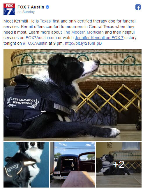Funeral Home Now Has a Comfort Dog to Assist the Grieving