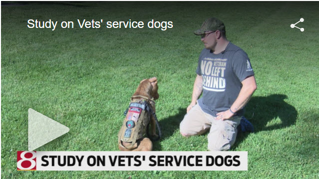 Purdue Gets Funding for Service Dog Study