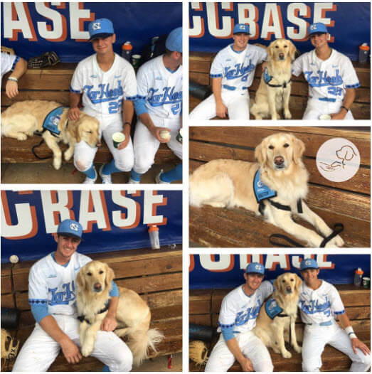 Service Dog Helps NC Baseball Team
