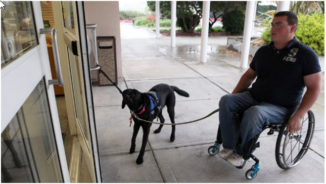 Humane Society Works on Bill to Join Veterans with Emotional Support Animals