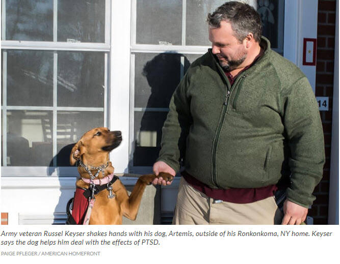 VA Studies Benefits of Service Dogs for Veterans Suffering from PTSD