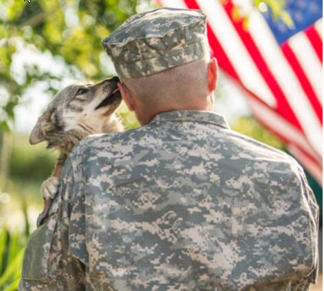 Flight Attendant Reunites Service Dogs with Vets