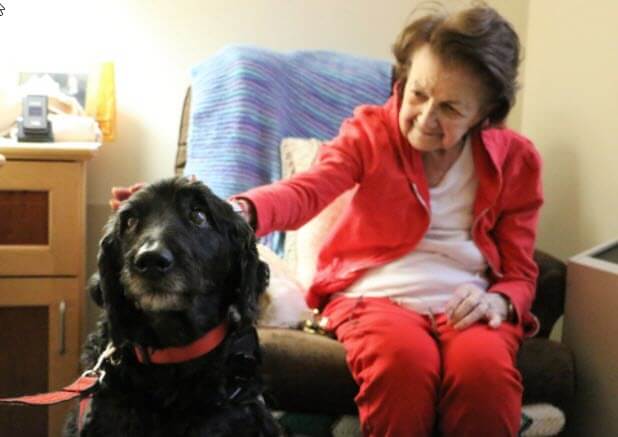 Baxter the Emotional Support Dog Brightening Seniors Days