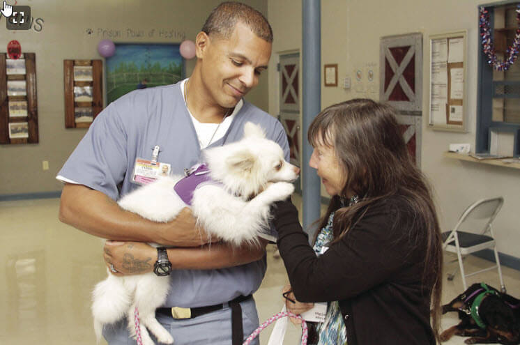 Pups N Pals Graduates over 500 Dogs in 8-Year Program for Vets