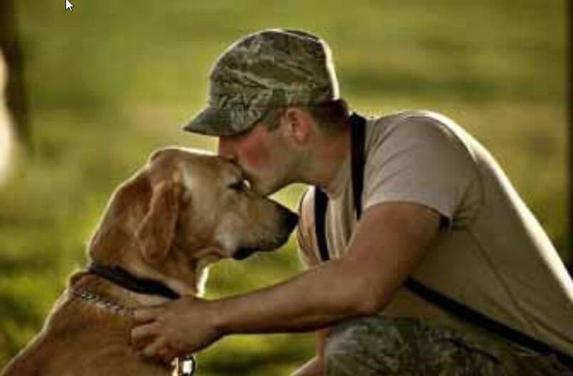 Study Demonstrates Physiological Benefits of Service Dogs