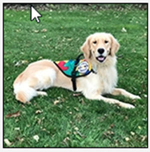 Boy Receives Autism Service Dog