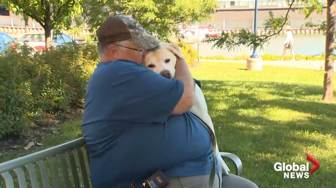 PTSD Service Dog Mentoring Program Starts in New Brunswick Canada