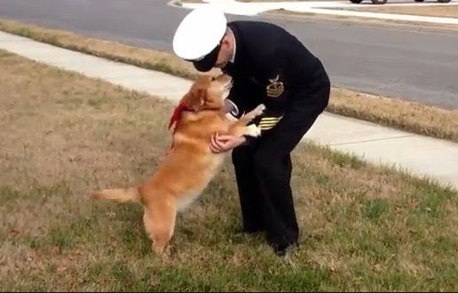 Medical Study Shows Dog’s Absorb Owner’s Stress