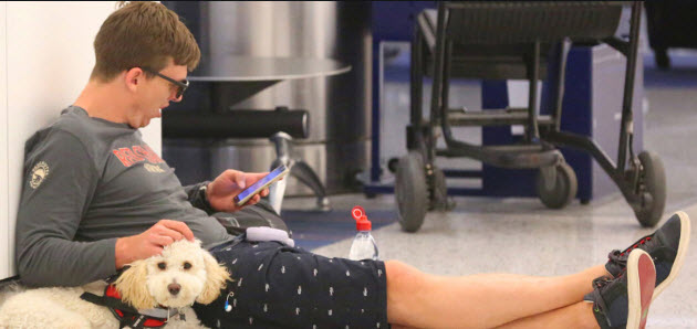 Don’t Get Scammed By Fake ESA Letters