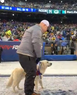 The Highlight of Giants Game Sunday was Half Time When They Gave Veteran New Service Dog